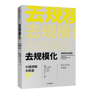 去规模化 小经济的大机会 赫曼特塔内佳 著 商业逻辑 商业管理 去规模化思维方式  中信出版社图书 正版书籍