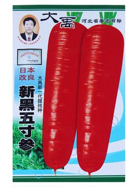 彩色胡萝卜种子种籽玫瑰红紫色黄色水果春秋季拇指胡罗卜蔬菜种孑