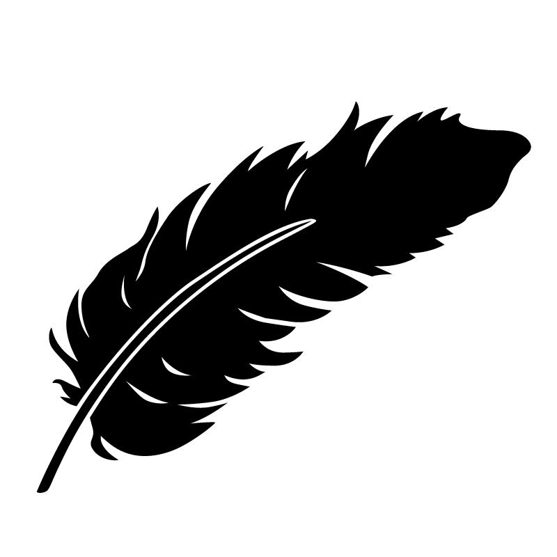 酷域汽車(chē)磁吸車(chē)貼汽車(chē)劃痕貼紙羽毛磁性車(chē)貼七彩鐳射創(chuàng)意汽車(chē)貼紙