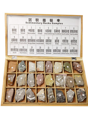 天然原石头三大类岩石各48种标本