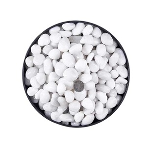 水培石子颗粒天然鹅卵石雨花白色石头郁金香水仙多肉兰花盆栽造景