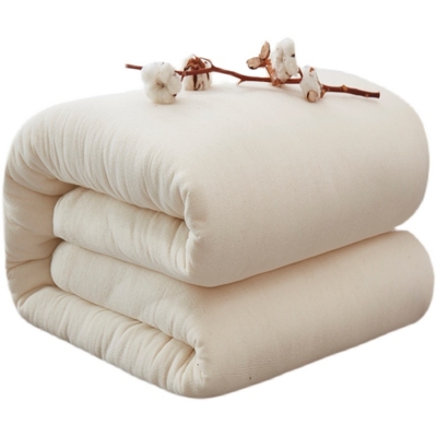 阿克苏加厚保暖纯棉花冬被褥子