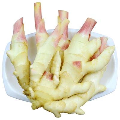 顺丰现挖嫩姜特级现挖大仔姜
