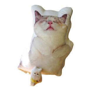 diy定制巨丑无边抱枕丑猫异形照片定做来图仿真宠物枕头猫咪靠枕