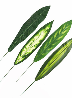 diy绿色植物插花装扮婚礼叶子