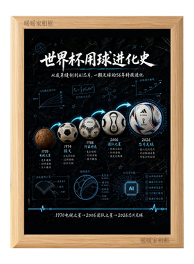 世界杯用球进化史知识相框摆件