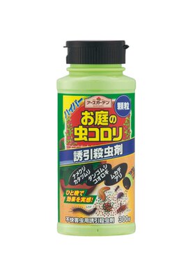 日本庭院爬虫马陆蚂蚁地球