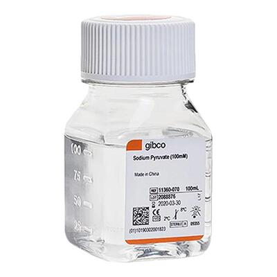 Gibco 11360-070 丙酮酸钠溶液 (100 mM) 100ml