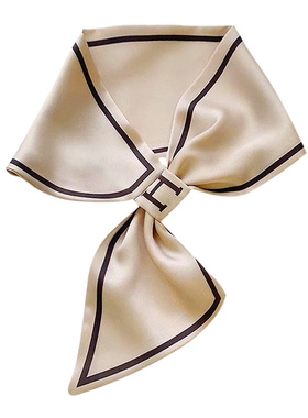 女百搭围巾衣服挂件衬衫职业项链