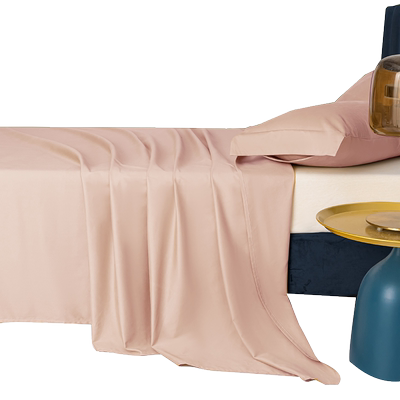 100支新疆长绒棉保暖磨毛床单