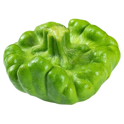 云南姜柄瓜种子爬藤小南瓜瓜菜瓜