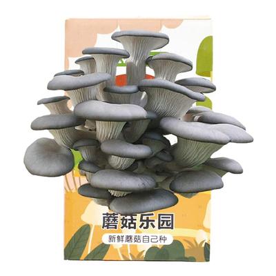 寿禾卧室简单diy蘑菇菌菇桶