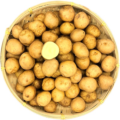 恩施小土豆马尔科老品种新鲜现挖