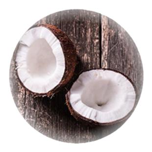 【Leo's Coffee】哥伦比亚COE冠军庄园蒙特利尔蜜处理粉波旁咖啡