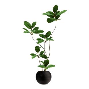 假绿植装饰仿真黑金刚室内盆栽大型落地摆件客厅轻奢防真绿色植物