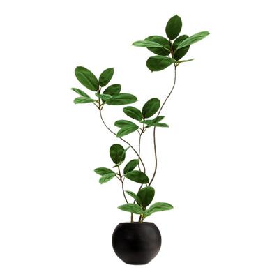 高端装饰摆件客厅橡皮树室内森泰