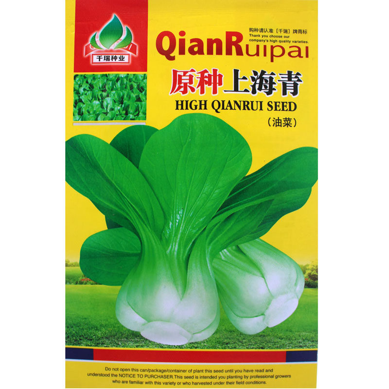 原种上海青种子 农家菜园高产小油菜蔬菜种籽 阳台室内盆栽叶菜籽