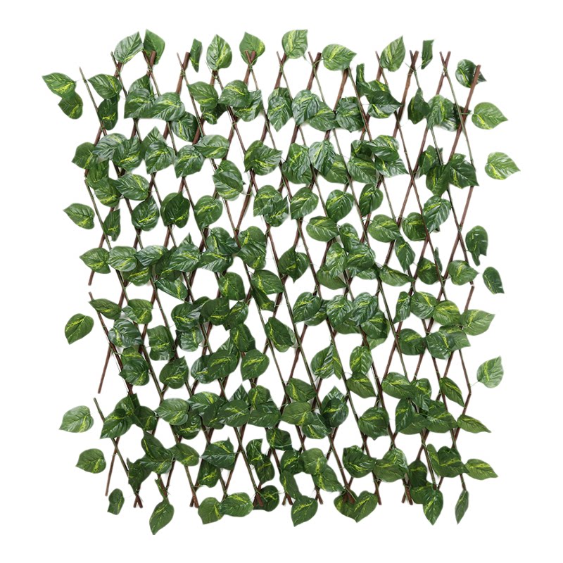 仿真植物墙面花架伸缩篱笆木栅栏