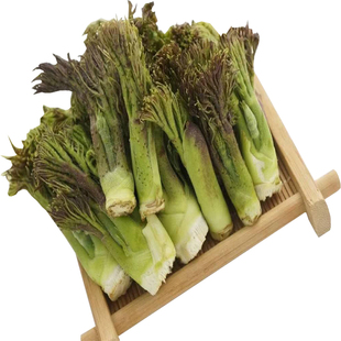 多年生刺老芽种子山野菜乌龙头刺嫩芽蔬菜种籽孑农家春季盆栽菜籽