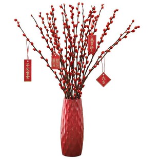 银柳真花鲜枝抱抱福桶喜庆年宵花卉盆栽室内红色干花水培植物雪柳