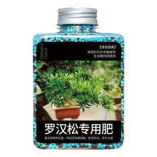 罗汉松专用肥氮磷钾复合肥黄叶养护改良土壤有益菌群酸性盆景肥料
