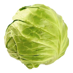 绿甘蓝种子苗卷心菜包菜种籽孑秧包心菜圆白菜蔬菜苗大头菜秧苗