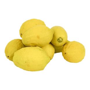 黄柠檬无籽新鲜广东香水黄柠檬新奇士奶茶店专用一级安水果岳柠檬
