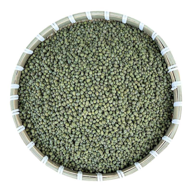 正宗山东老品种毛绿豆易出沙