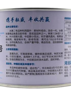 杨贵妃卡里巴绿台湾五福水果秋葵