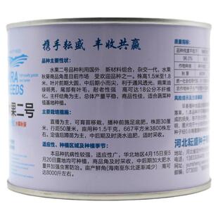 水果秋葵 红秋葵黄秋葵种子杨贵妃黄秋葵 卡里巴绿秋葵台湾五福