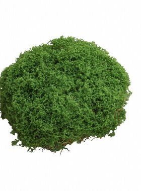 假青苔藓微景观布件盆景盆栽铺面