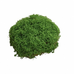 仿真苔藓草皮仿生人造假青苔微景观布置摆件草坪盆景盆栽铺面造景