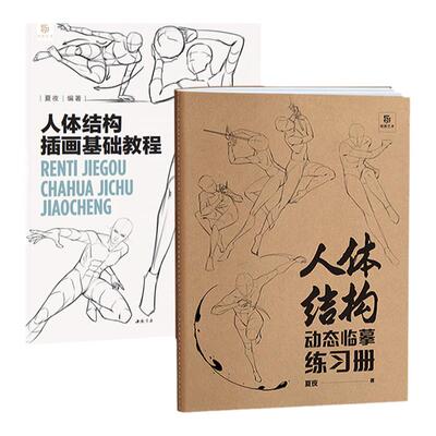 夏夜人体结构插画基础教程套装