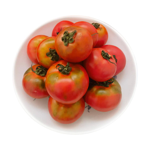 西域美农四川攀枝花番茄4.5斤新鲜西红柿现发水果非沙瓤草莓番茄