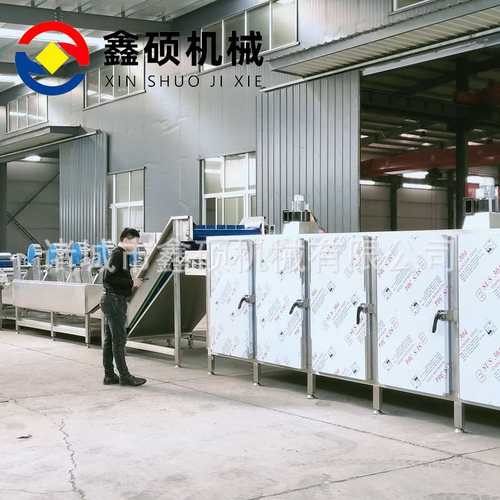 定制大姜小黄姜清洗烘干线流水线  网带式辣椒土豆果蔬隧道烘干机