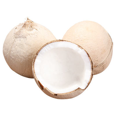 【精选品质】泰国进口小奶椰皇！