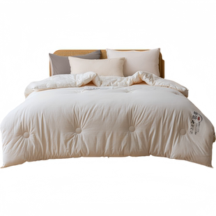 A类母婴级大豆被冬被春秋被芯被子单人四季通用棉被夏凉被空调被