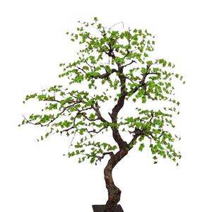 室内绿植仿真吊钟树造景假树摆件