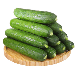 水果黄瓜苗秧四季种子阳台番茄秋季蔬菜苗秧苗盆栽南方小青瓜旱瓜