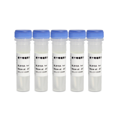 白鲨生物化学试剂氨苄青霉素溶液