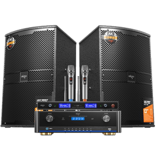 爱国者卡包音响套装会议室专用音箱舞台教室培训专业大中小型壁挂