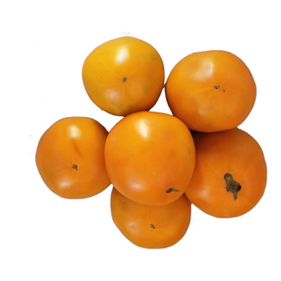 内蒙古五原县沙瓤大黄柿子新鲜黄色西红柿6斤超甜黄金籽大果番茄