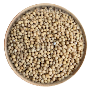 精选 中药材 白芥子 白介子 辣菜子 50g 可打粉 满包邮