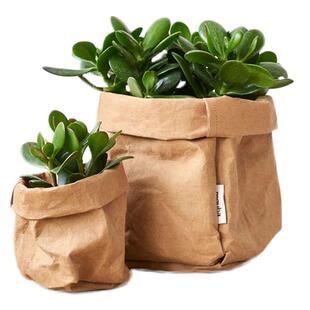北欧水洗牛皮纸袋花盆ins风家居收纳袋冰箱蔬菜整理绿植多肉花盆