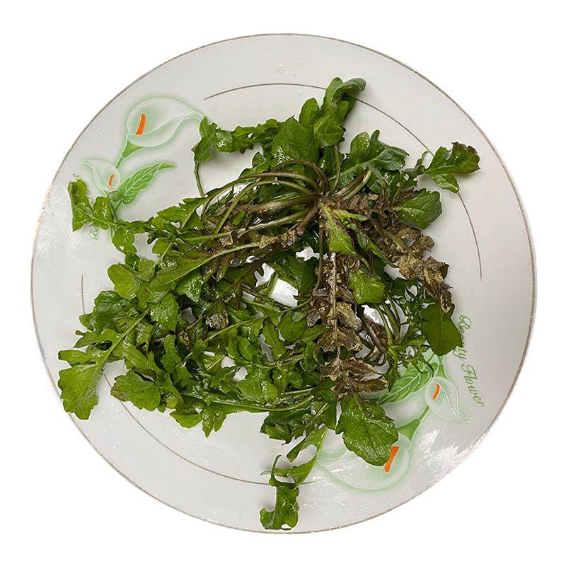 秦岭野生荠菜陕西农村野菜新鲜现挖荠菜4斤地菜丁蔬菜饺子馅包邮