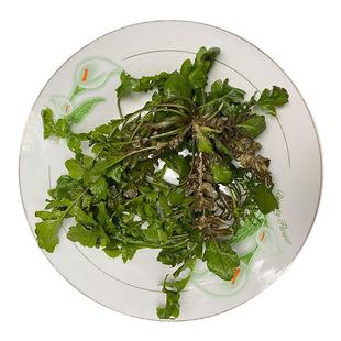 秦岭野生荠菜陕西农村野菜新鲜现挖荠菜4斤地菜丁蔬菜饺子馅包邮