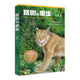 猞猁的重生 真实猞猁救护故事 小学生课外读物 儿童文学小说【限】