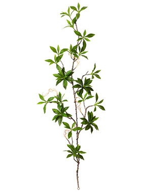 仿真藤条植物掬涵植物遮装饰墙面