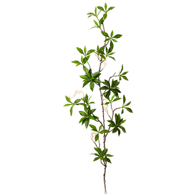 仿真藤条植物掬涵植物遮装饰墙面