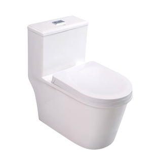 蹲坐两用马桶一体后排水可蹲可坐双用二合一蹲便器墙排式左右排水